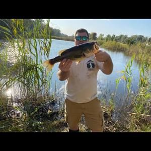 Meet your Posher, William